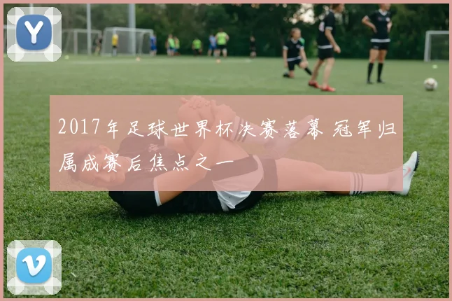 2017年足球世界杯决赛落幕 冠军归属成赛后焦点之一