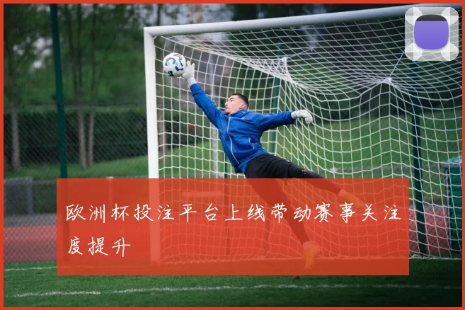 欧洲杯投注平台上线带动赛事关注度提升