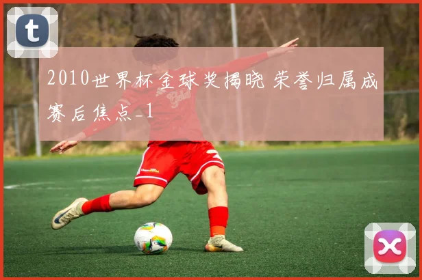2010世界杯金球奖揭晓 荣誉归属成赛后焦点_1