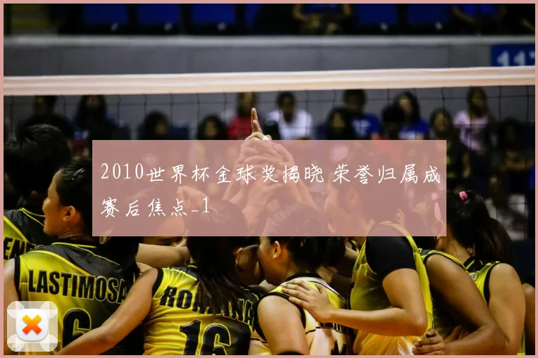 2010世界杯金球奖揭晓 荣誉归属成赛后焦点_1