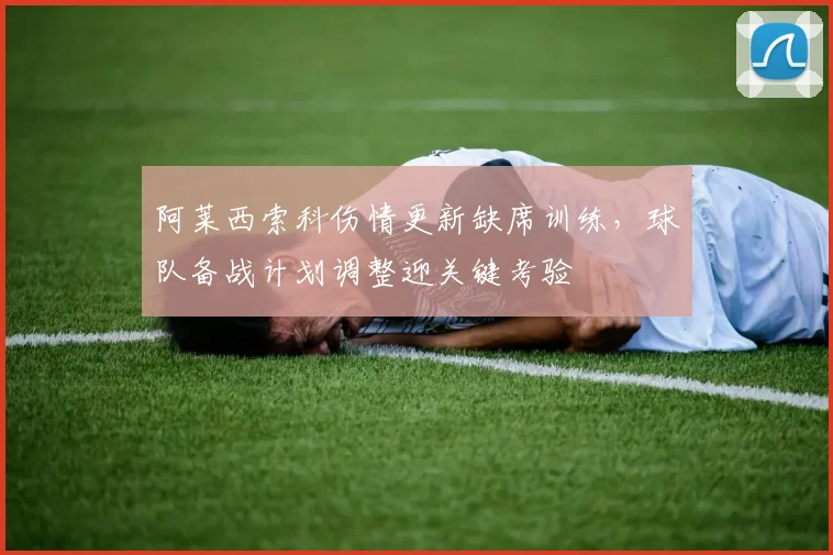 阿莱西索科伤情更新缺席训练，球队备战计划调整迎关键考验