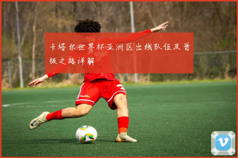 卡塔尔世界杯亚洲区出线队伍及晋级之路详解