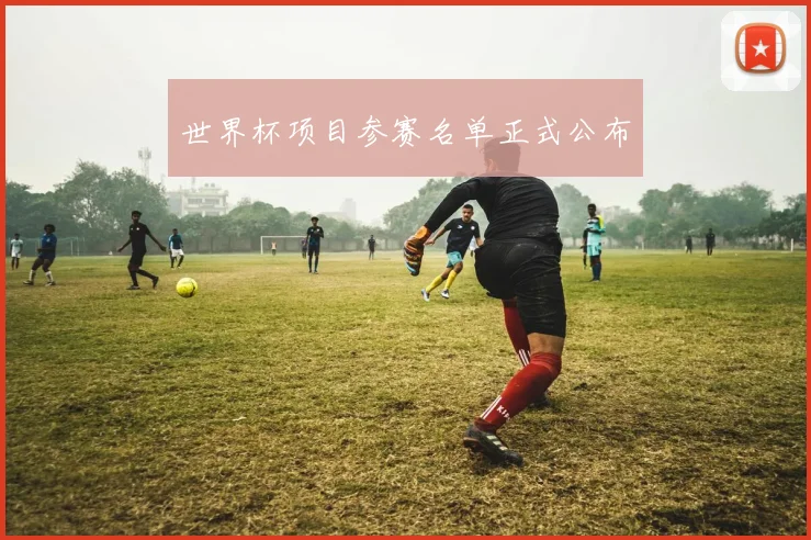 世界杯项目参赛名单正式公布