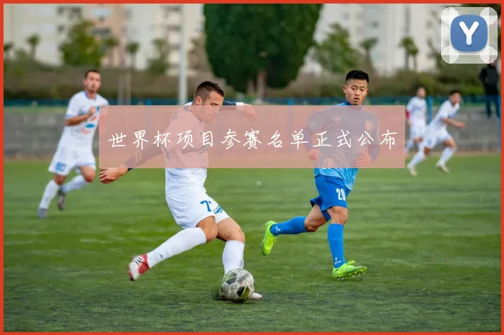 世界杯项目参赛名单正式公布