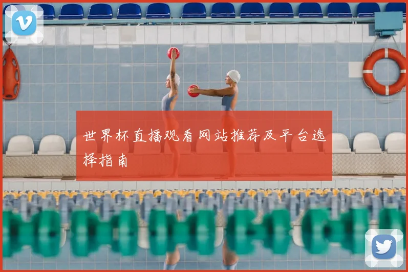 世界杯直播观看网站推荐及平台选择指南