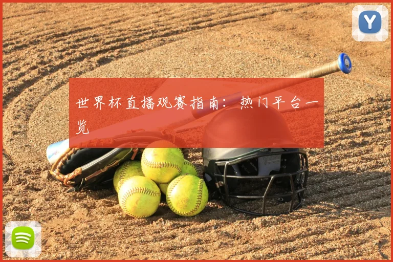 世界杯直播观赛指南:热门平台一览