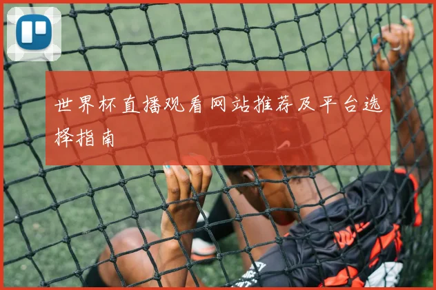 世界杯直播观看网站推荐及平台选择指南
