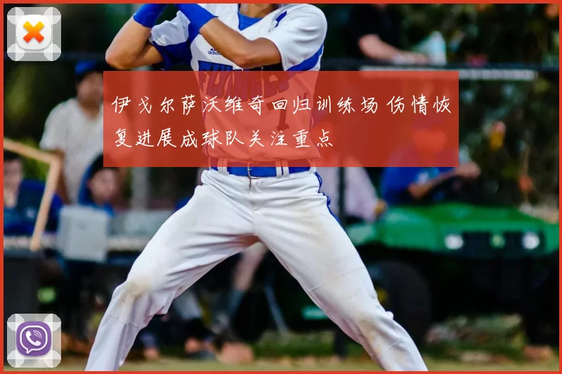 伊戈尔萨沃维奇回归训练场 伤情恢复进展成球队关注重点