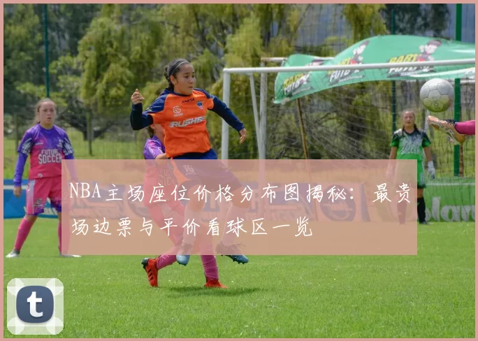 NBA主场座位价格分布图揭秘：最贵场边票与平价看球区一览
