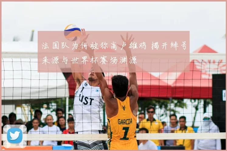 法国队为何被称高卢雄鸡 揭开绰号来源与世界杯赛场渊源