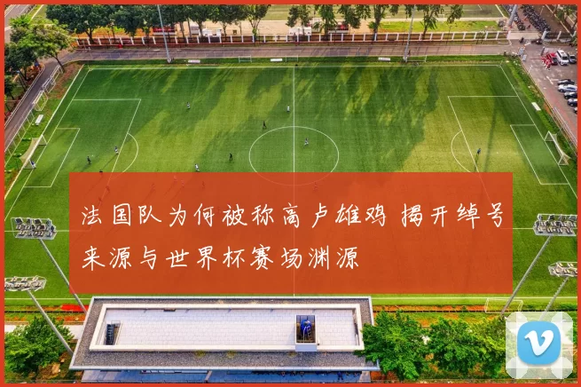 法国队为何被称高卢雄鸡 揭开绰号来源与世界杯赛场渊源