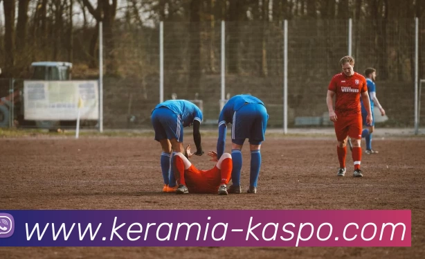 b体育网服务体系